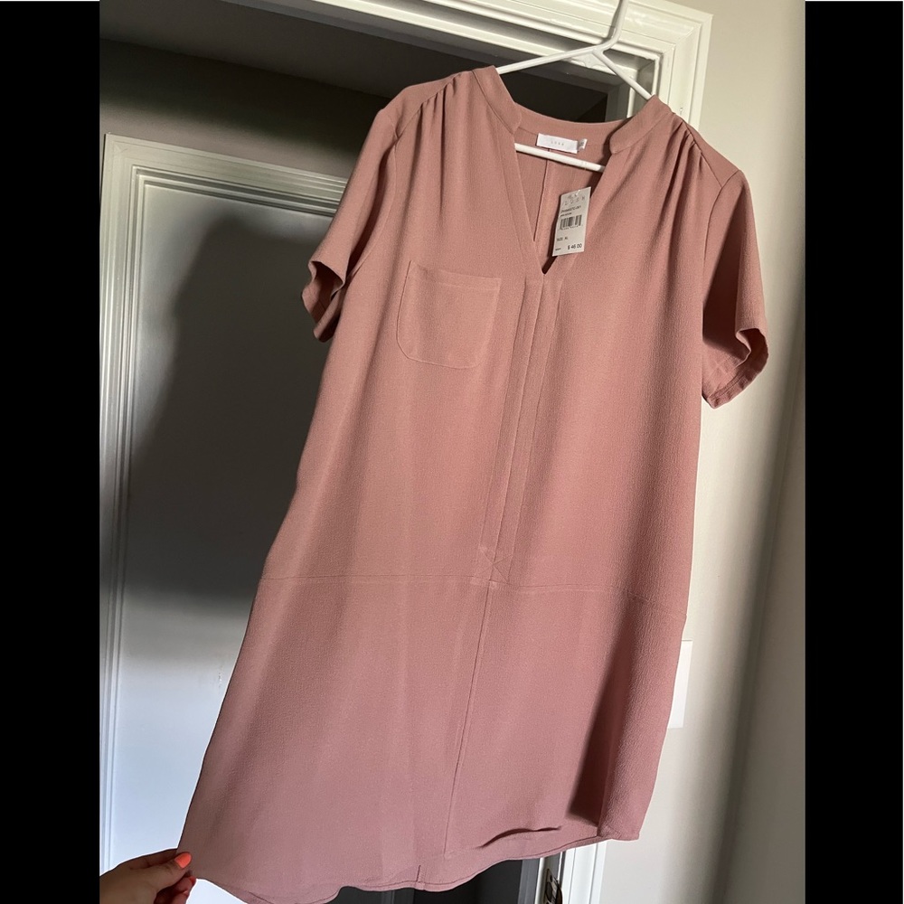 Blush Mini Dress